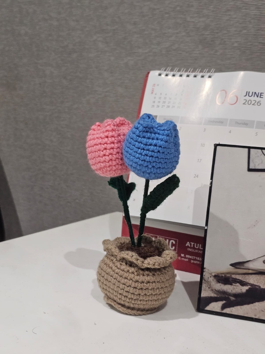 The pink and blue crochet tulips she made me